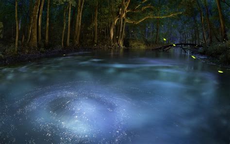 Chasing the Magic: Exploring Springs Through Photography